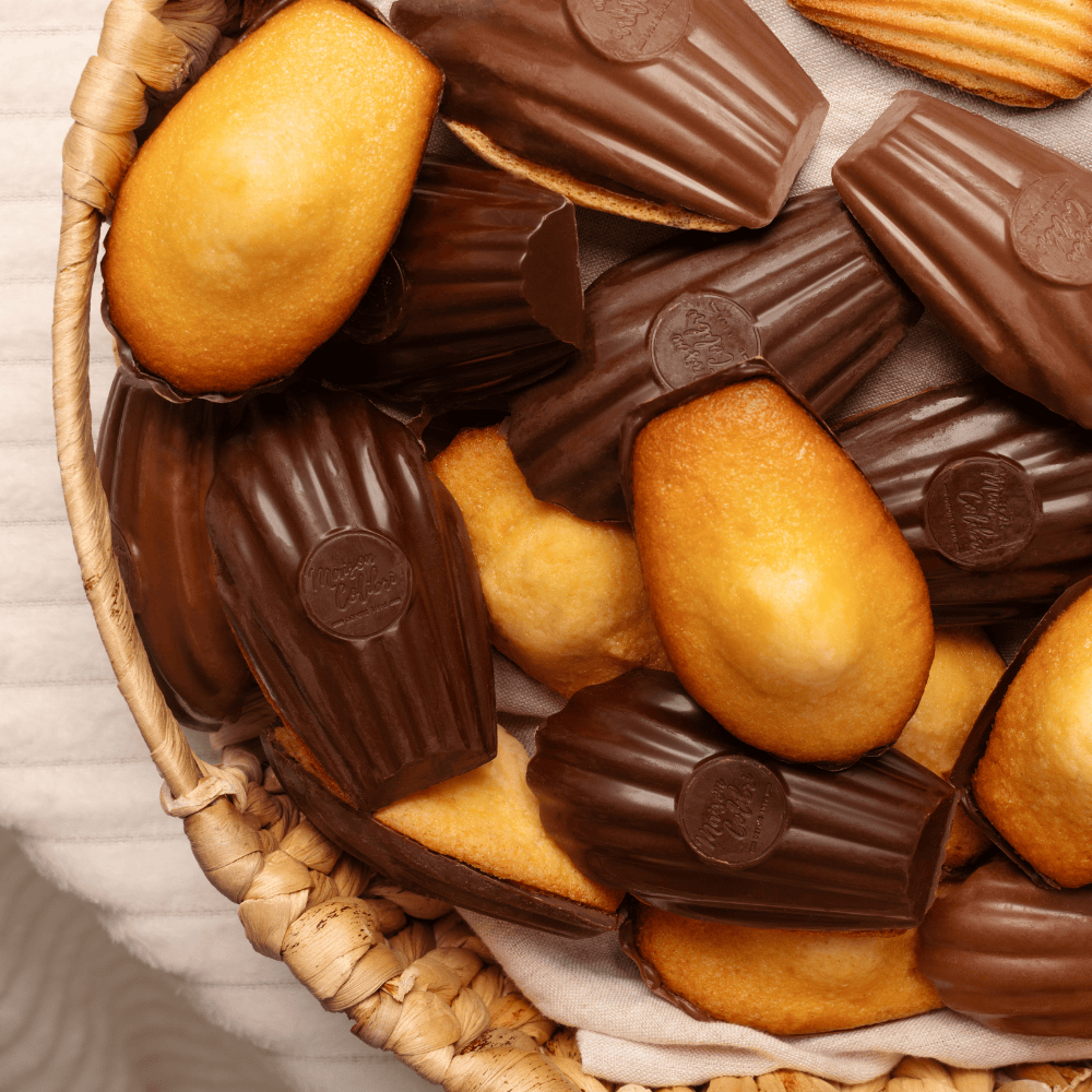 🇫🇷 6 Ultra Premium Classic Madeleines w/ Dark Chocolate Shell, 6.4 oz (182g)