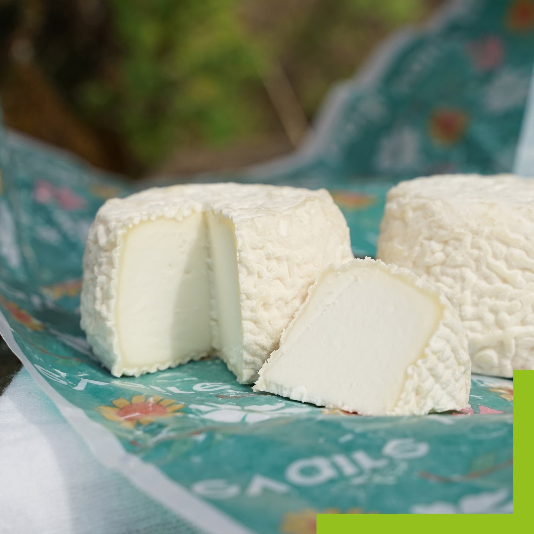 🇫🇷 Crottin de Pays 🐐, 2 oz (60g)