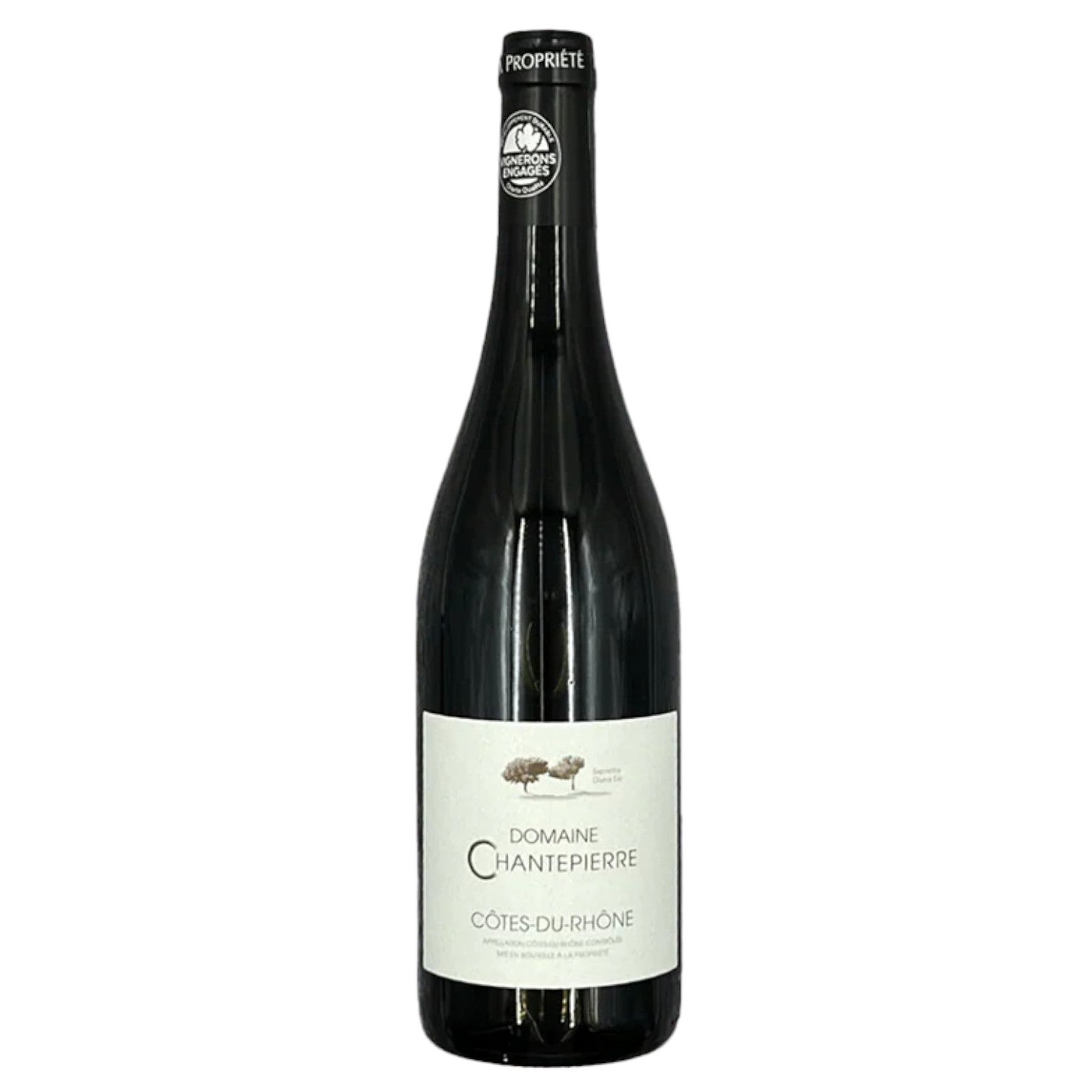 2023 Côtes-du-Rhône (Red)