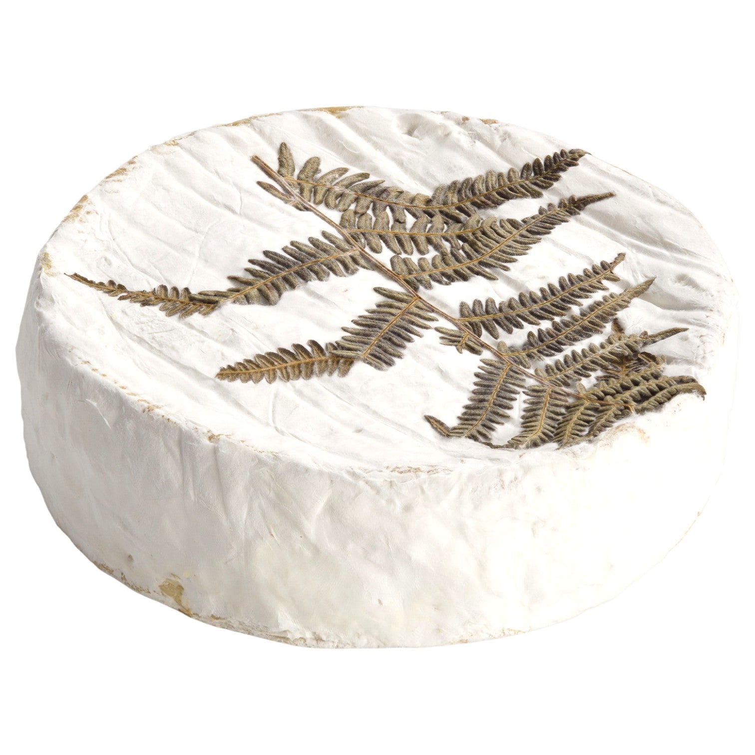 ๐ซ๐ท Fougerus, 8.8 oz (250g)