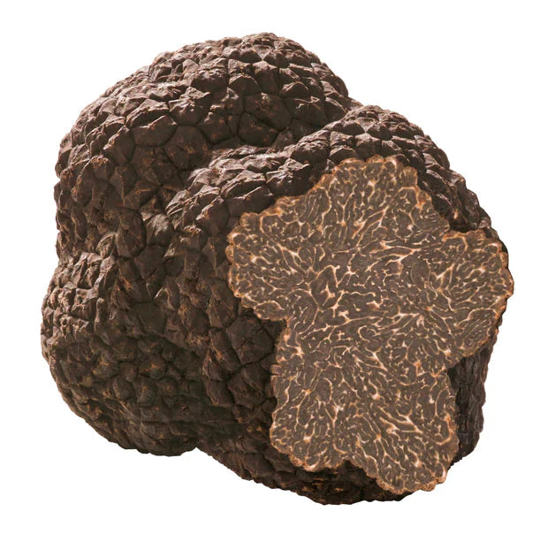 🇮🇹 Fresh Black Burgundy Truffles 'Tuber Uncinatum', 4 oz (Pre-Order Only)