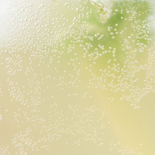 🇫🇷 Lemon Syrup, 20.3 fl oz (600ml)