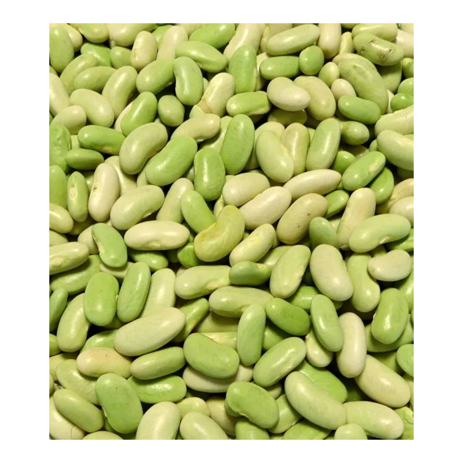 🇫🇷 Green Flageolet Beans, 17.6 oz (500g)