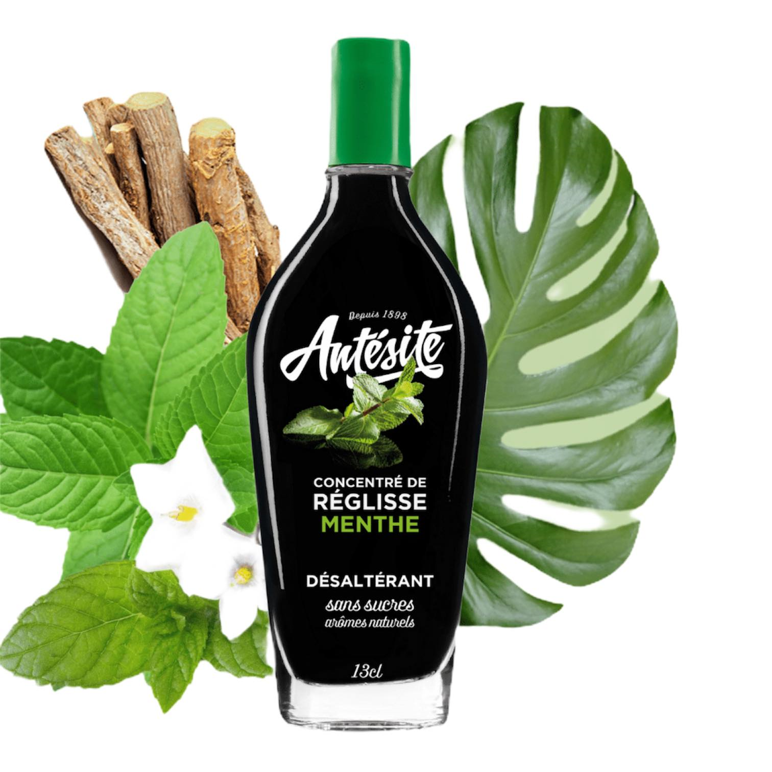 🇫🇷 Antesite Anise Licorice & MINT Concentrate Drink, 4.4 fl oz (130ml)