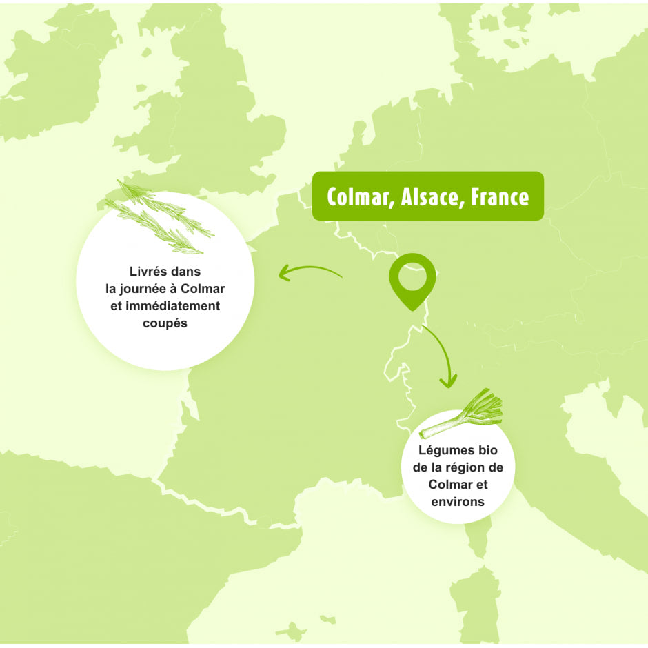 🇫🇷 Herbamare Intense: Organic Camargue Sea Salt w/ 14 Fresh Plants and Vegetables, 8.8 oz (250g)