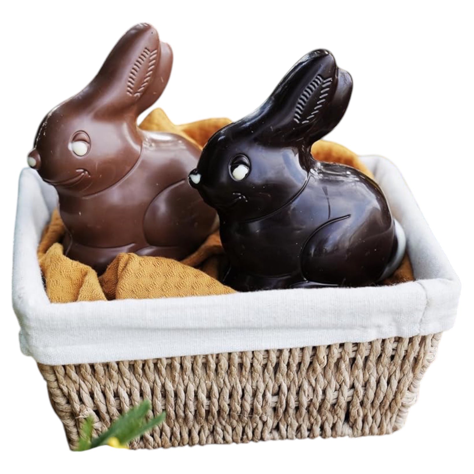 lapins chevalier argouges-Photoroom.jpg