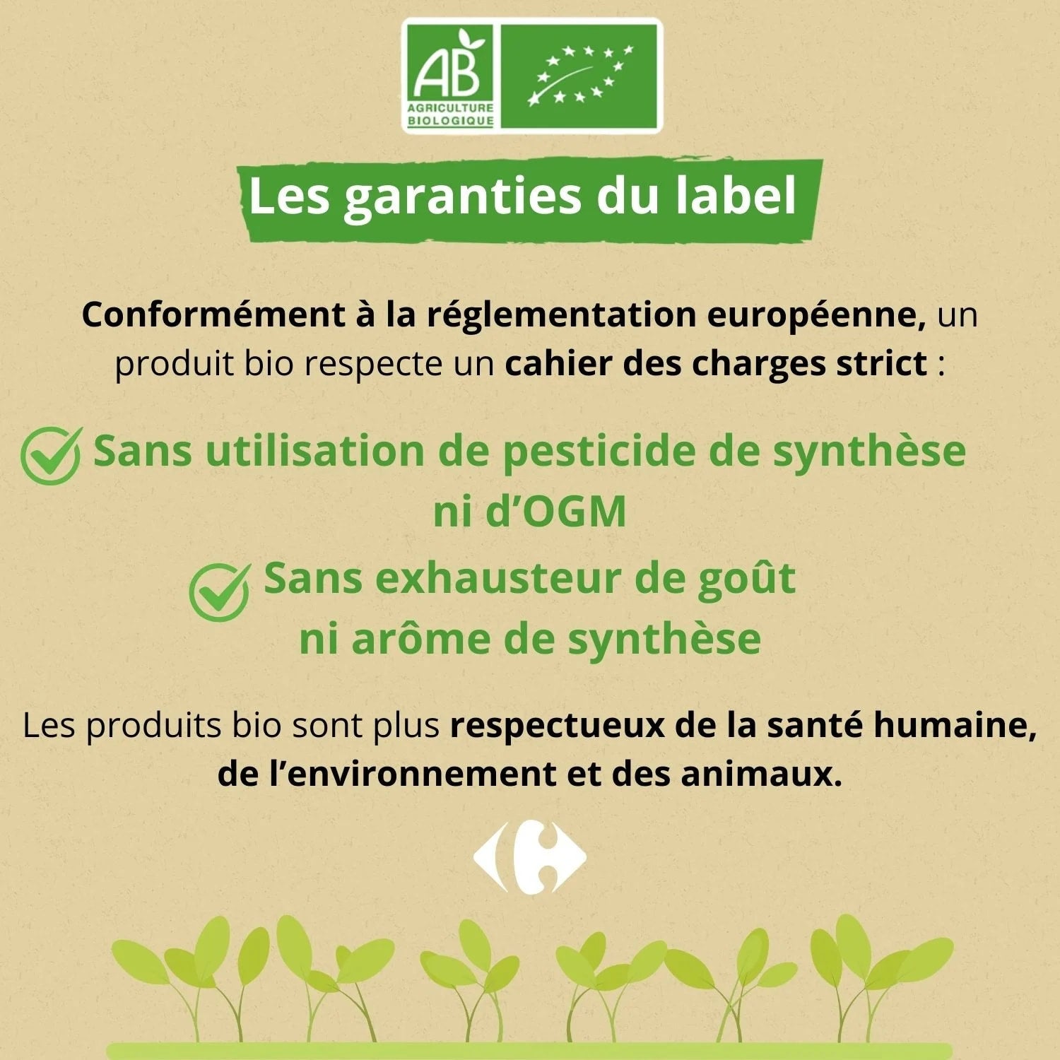 🇫🇷 Organic Milk Chocolate (53% Cocoa from Guatemala), 3.5 oz (100g)