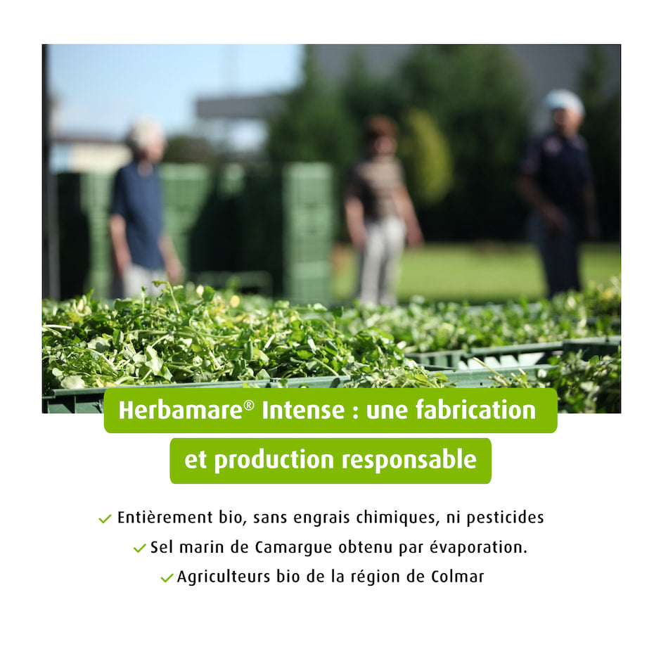 🇫🇷 Herbamare Intense: Organic Camargue Sea Salt w/ 14 Fresh Plants and Vegetables, 8.8 oz (250g)