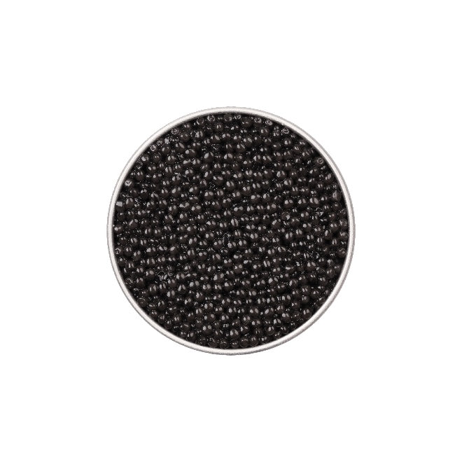 persicus caviar-Photoroom-6.jpg