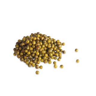 🇫🇷 Green Peppercorn Mustard, 7.4 oz (210g)