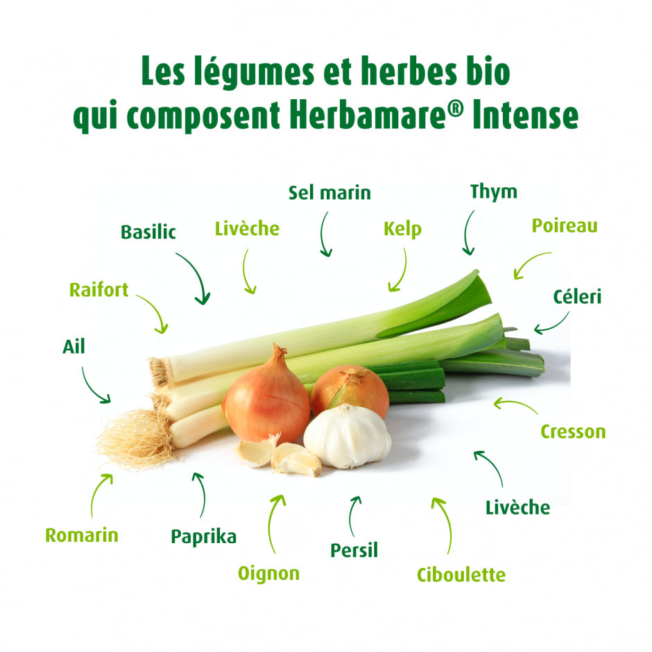 🇫🇷 Herbamare Intense: Organic Camargue Sea Salt w/ 14 Fresh Plants and Vegetables, 8.8 oz (250g)