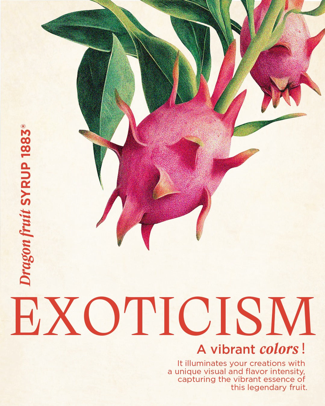 🇫🇷 1883 Dragon Fruit - French Premium Mixed Berries Syrup, 33.8 fl oz (1 liter, PET bottle)