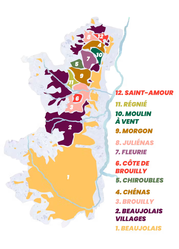 Beaujolais w