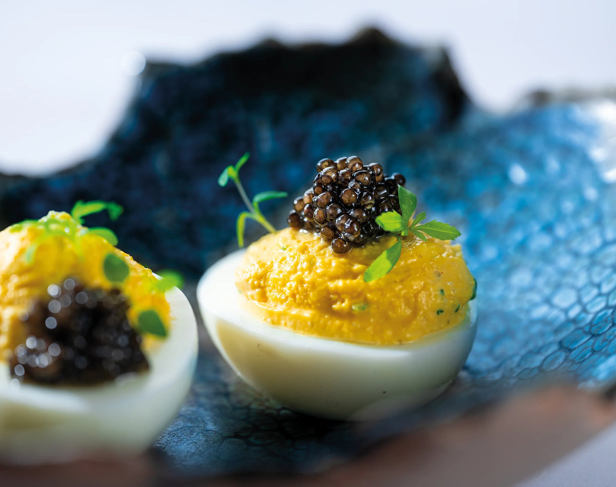 Salmon Roe Vs Sturgeon Roe Real Sturgeon Caviars & Salmon Roe