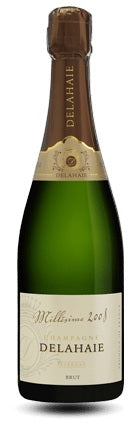Champagne Brut - Millésime 2016 🥂