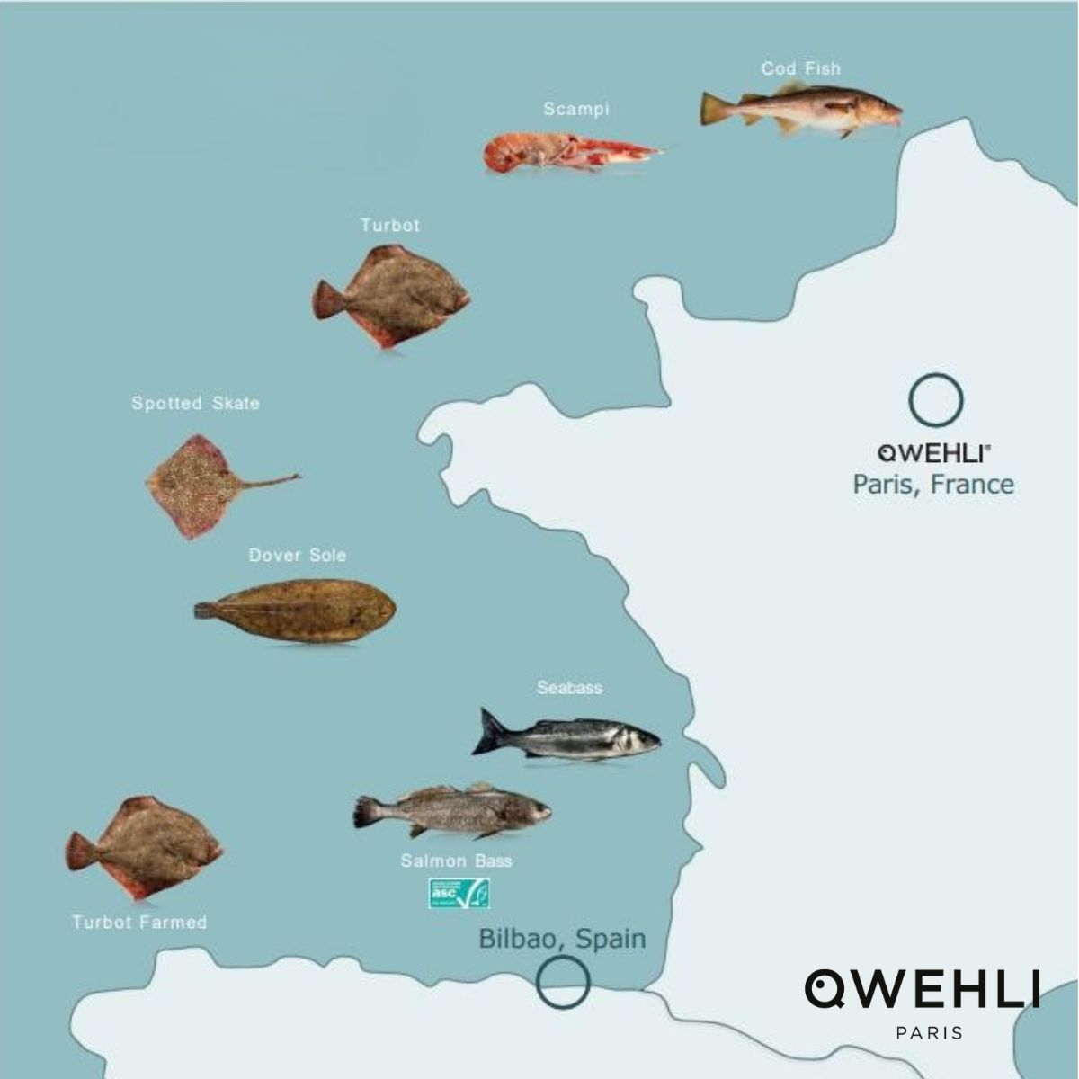 🇫🇷 Ultra-Premium Whole Raw Gutted Skin-On French Dover Sole, ~1 lb [Frozen] ❄️