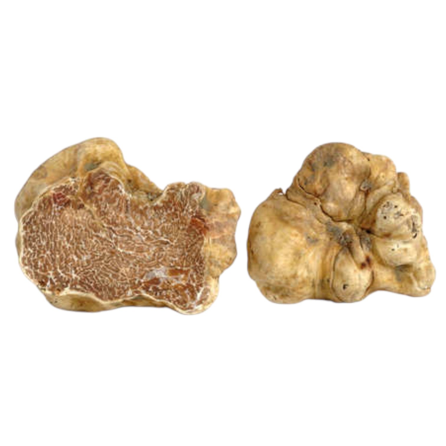 🇮🇹 Fresh White Alba Truffles [Medium Size], 4 oz (Pre-Order Only)