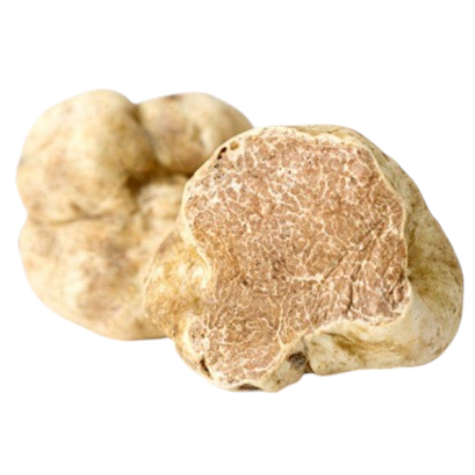 🇮🇹 Fresh White Alba Truffles [Medium Size], 4 oz (Pre-Order Only)