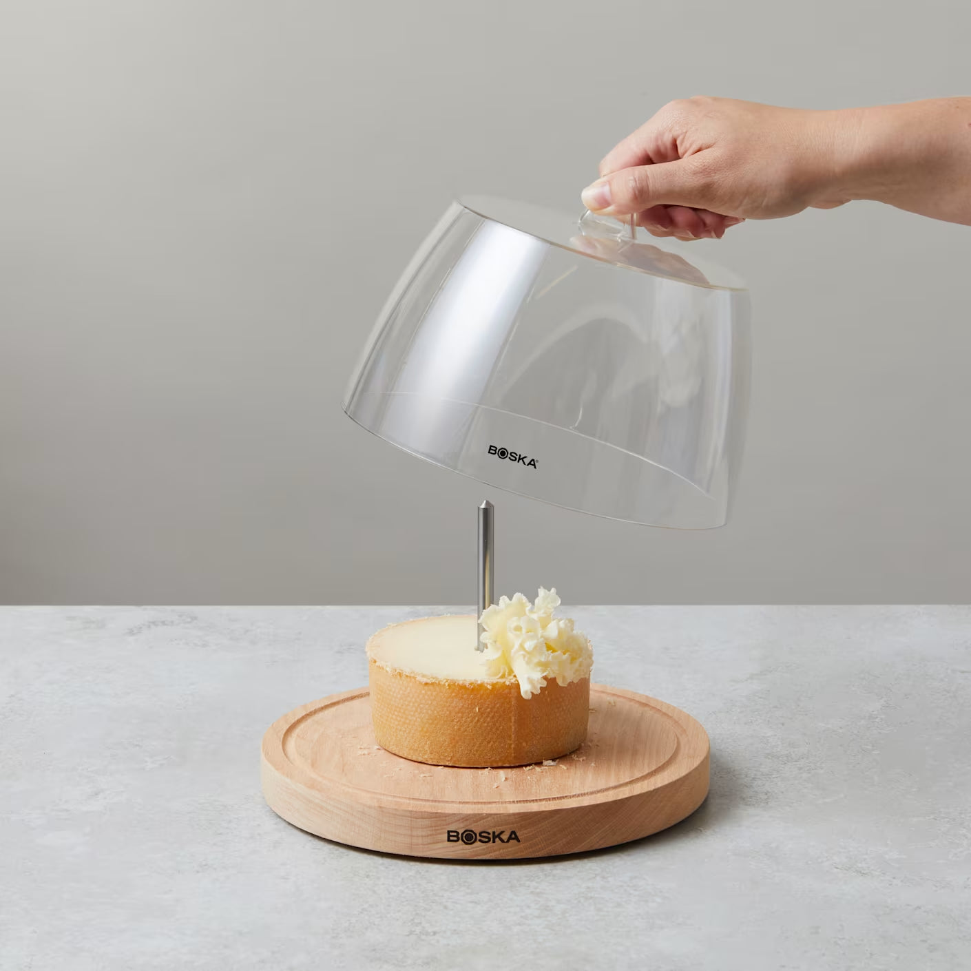 🇳🇱 Professional Stainless Steel Cheese Curler Amigo w/ Dome for Tête de Moine, Petit Basque & More