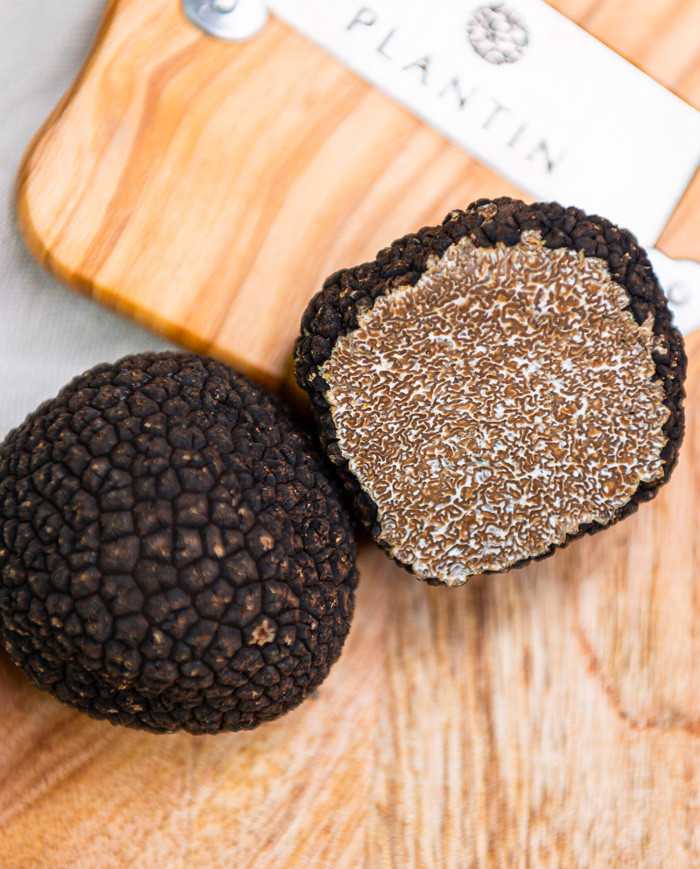 🇫🇷 Fresh Black Burgundy Autumn Truffles 'Tuber Uncinatum' [Pre-Order Only]