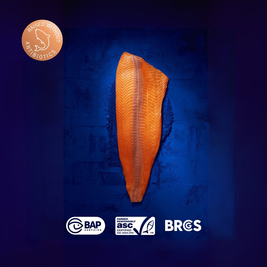 🇨🇱 Premium Patagonia Fresh Salmon Steak Fillet (Sushi Grade), 8 oz [Frozen] ❄️