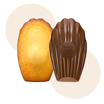 🇫🇷 6 Ultra Premium Hazelnut Madeleines w/ Milk Chocolate Shell, 6.4 oz (182g)
