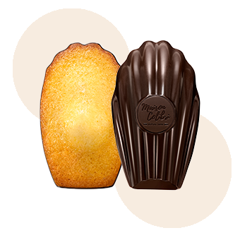 🇫🇷 6 Ultra Premium Classic Madeleines w/ Dark Chocolate Shell, 6.4 oz (182g)