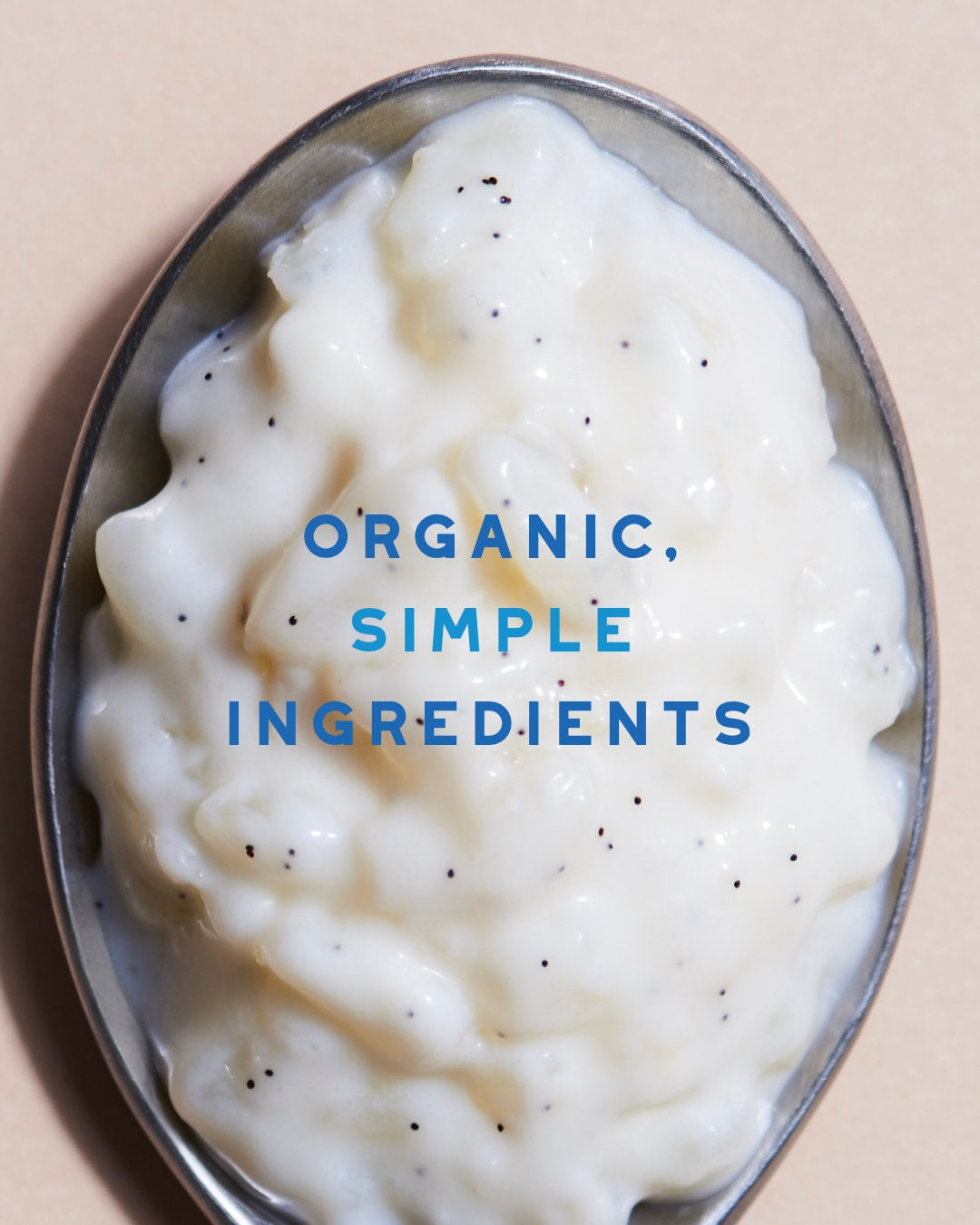 🇺🇸 2 Organic Vanilla Rice Pudding 'Riz Au Lait' by Petit Pot