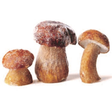 🇹🇷 Whole Porcini Cepes Grade A by Champiland, 2.2 lbs [Frozen] ❄️