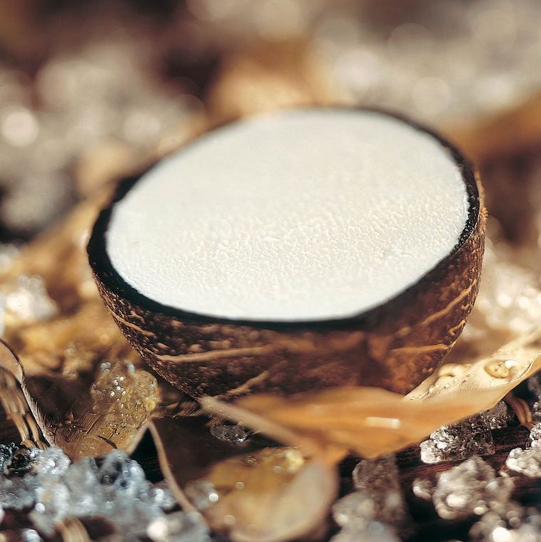 🇮🇹 Coconut 'Sorbetto Ripieno' Sorbet, 4.4 oz [Frozen] ❄️