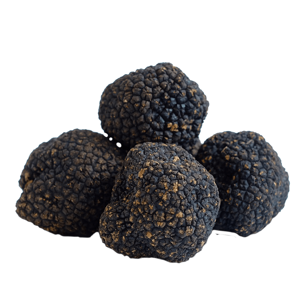 🇮🇹 Fresh Italian Black Summer Truffles 'Scorzone' - First Choice (Pre-Order Only)