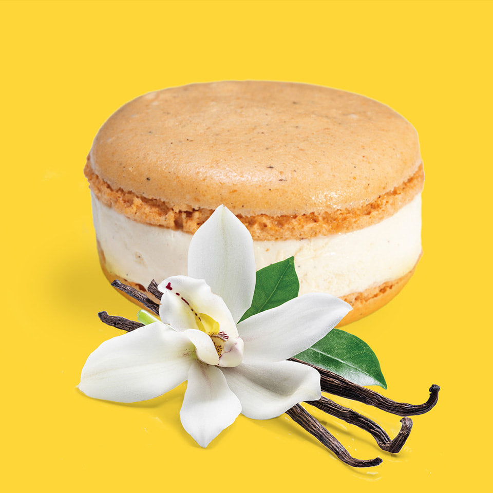 🇫🇷 Le 3 Vanillas (Madagascar-Mexico-Tahiti) Ice Cream Macaron, 2.3 oz (65g) [Frozen] ❄️