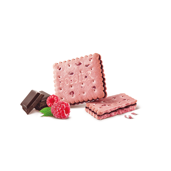 🇫🇷 Pink Biscuit Of Reims Shortbread With Dark Chocolate 'Le Craquant au Biscuit Rose' by Maison Fossier, 6 oz (170g)
