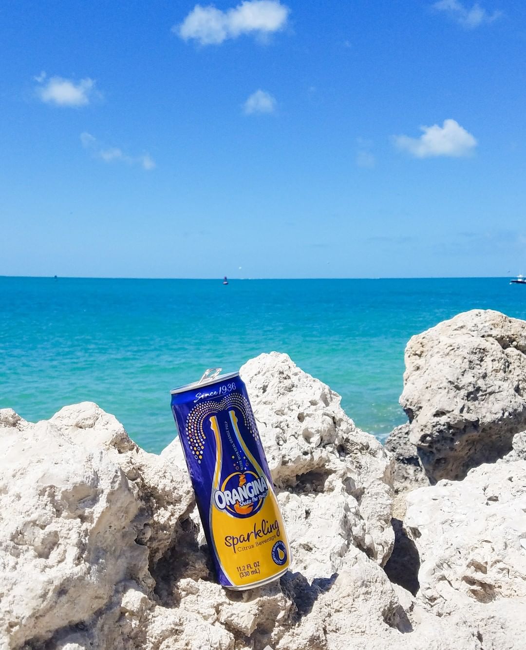 🇫🇷 Sparkling Citrus Beverage w/ Pulp, 11.2 fl. oz. (330 ml)
