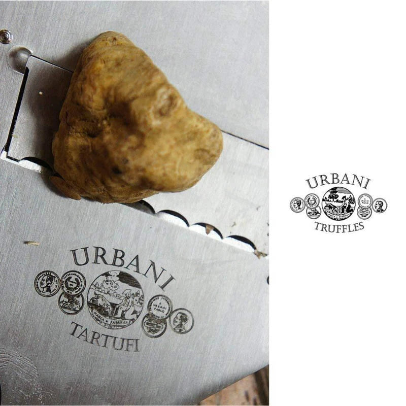 🇮🇹 Stainless Truffle Slicer by Urbani
