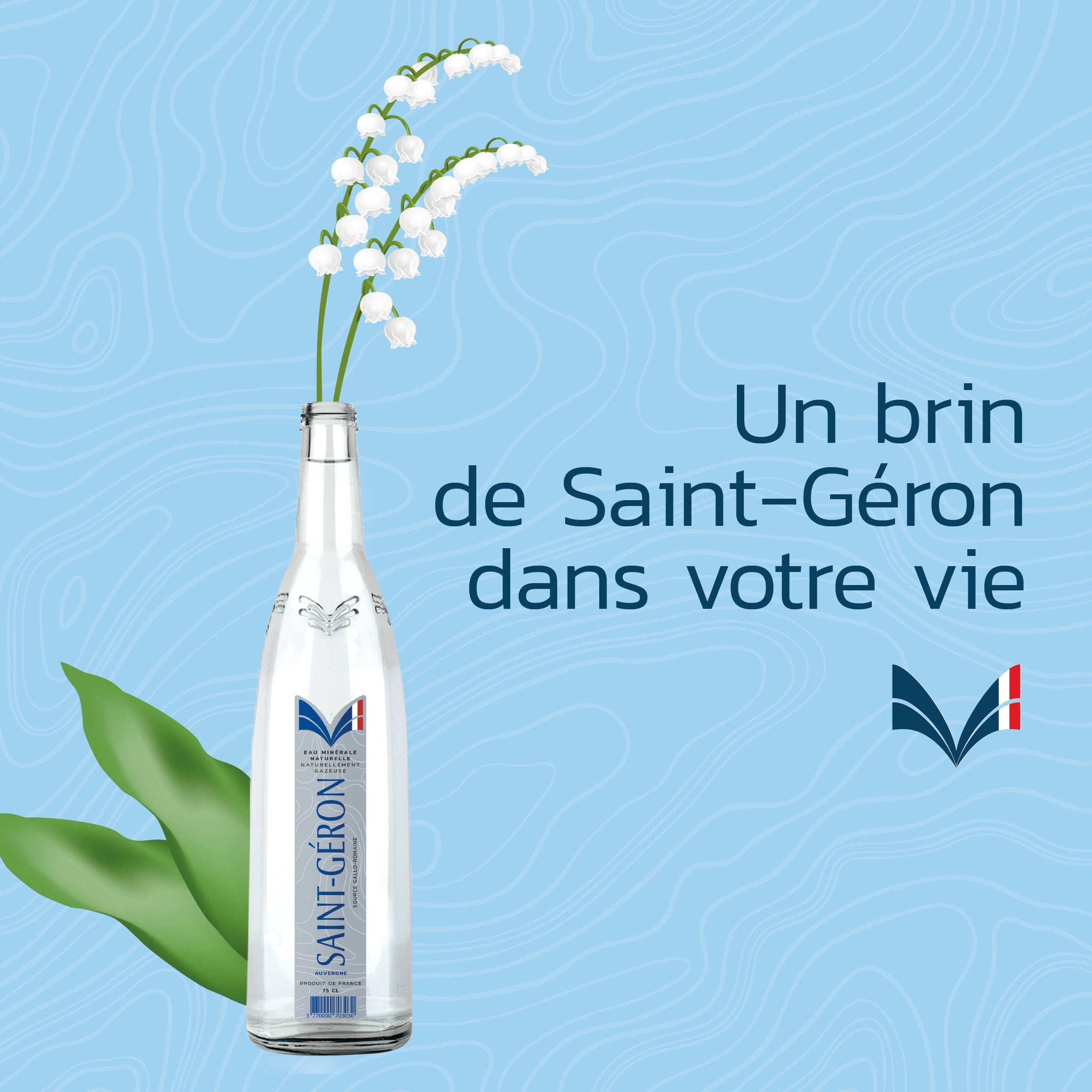 🇫🇷 Saint-Géron Premium Naturally Sparkling Mineral Water (Glass Bottle)