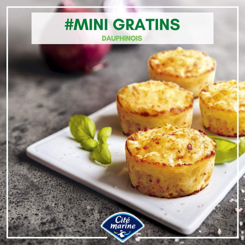 🇫🇷 4 Potato Gratin 'Dauphinois' by Cité Marine [Frozen] ❄️, 4.23 OZ