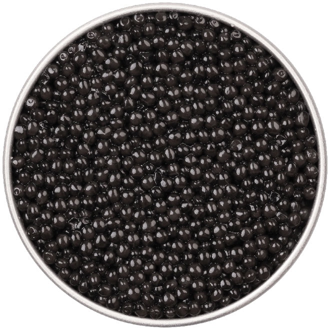 persicus caviar-Photoroom-3.jpg