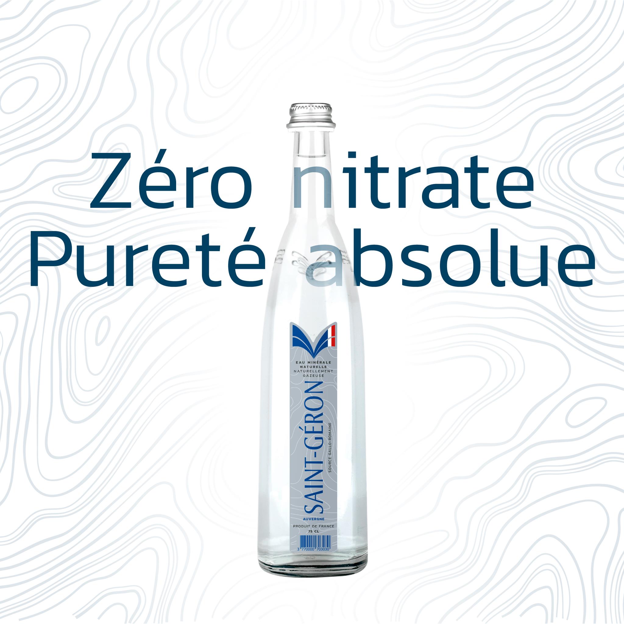🇫🇷 Saint-Géron Premium Naturally Sparkling Mineral Water (Glass Bottle)