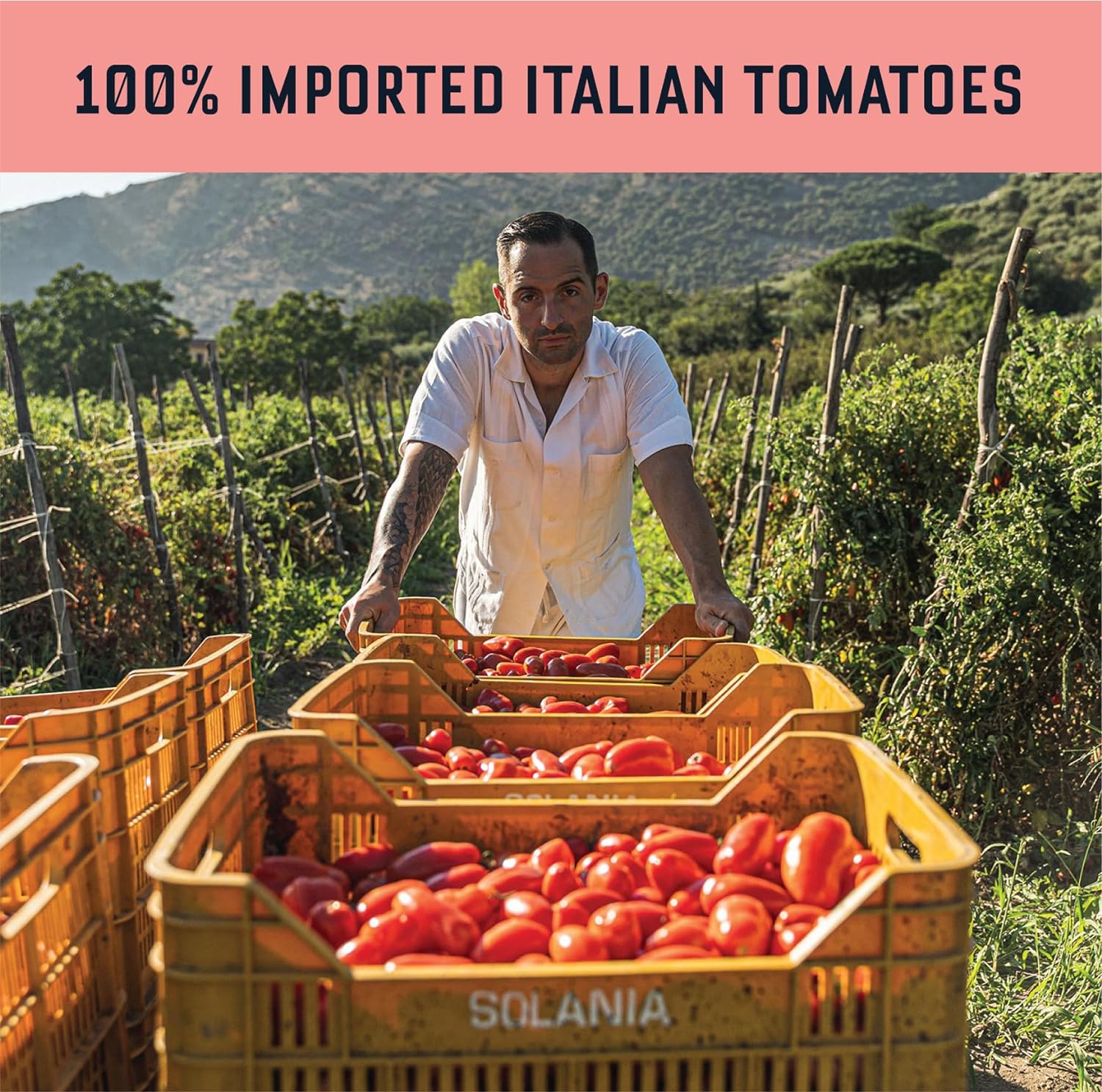 🇮🇹 Spicy Vodka Sauce w/ 100% Italian Tomatoes [No Sugar Added], 24 fl oz