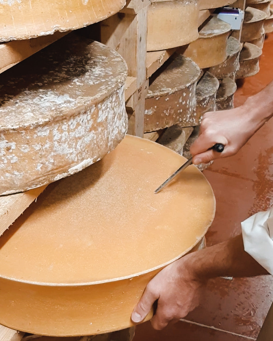 🇫🇷 Abondance 🐄 (Raw Cow's Milk)