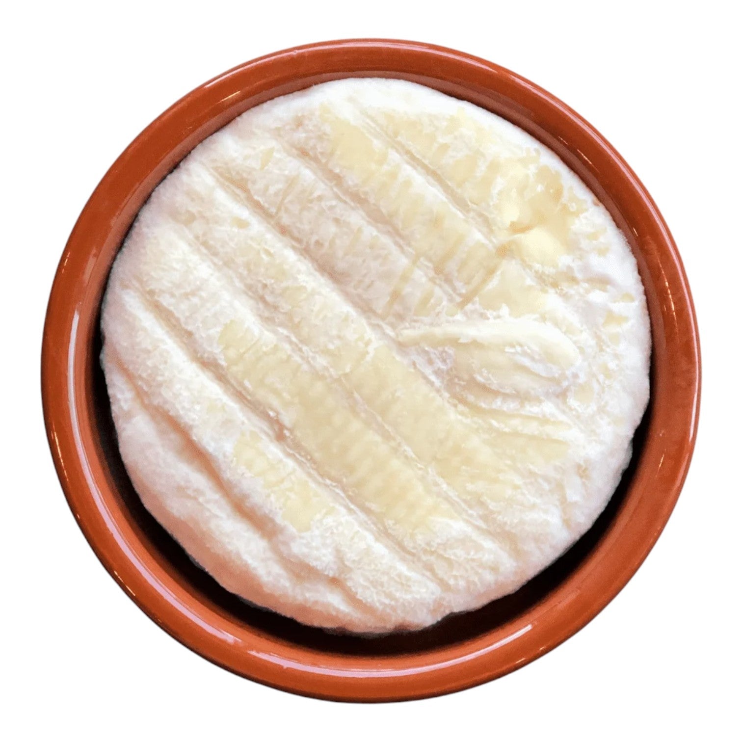 🇫🇷 St Marcellin (Secret des Lys) 🐄, 2.8 oz (80g) *mouldy