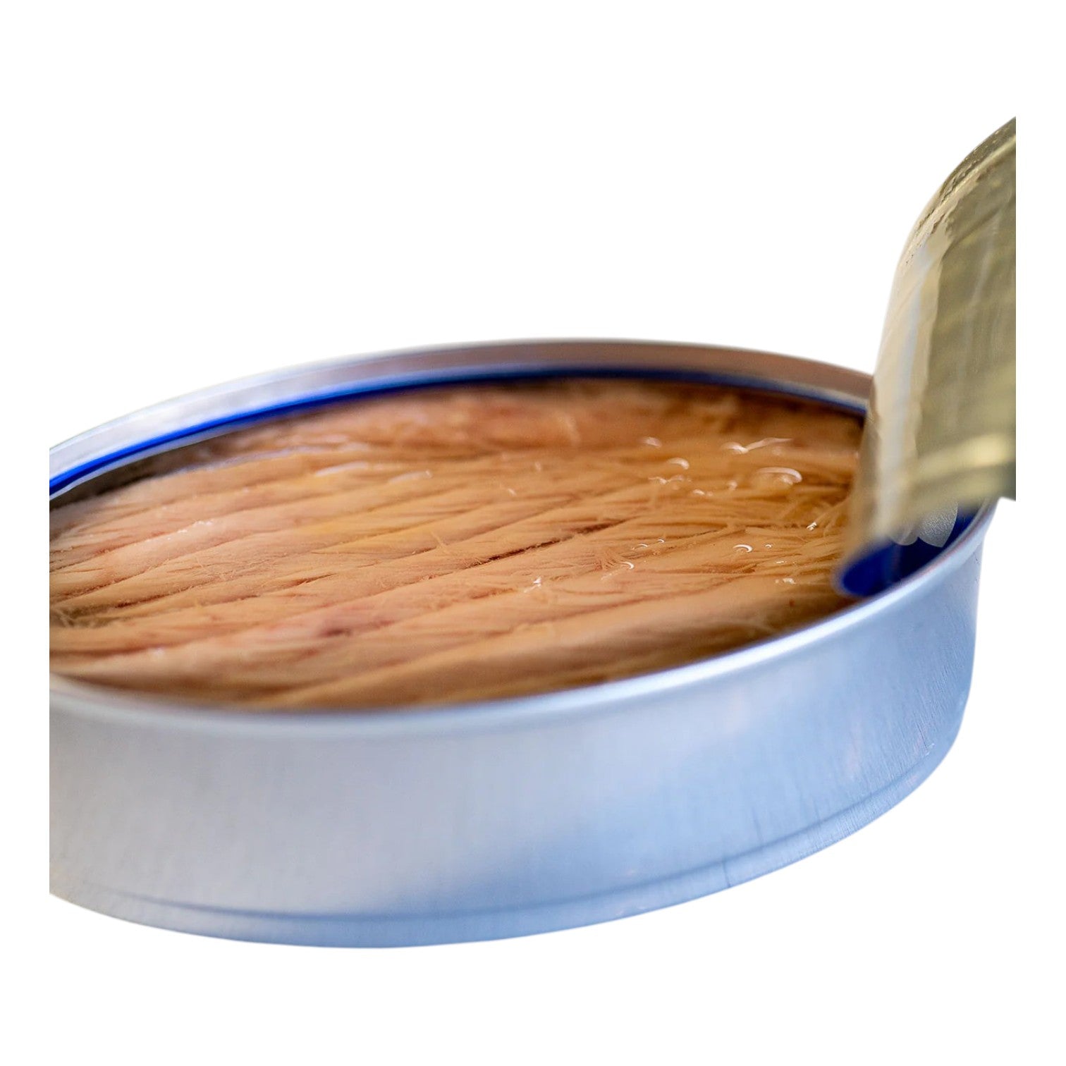 🇪🇸 Ventresca: Wild White Tuna (Germon) Belly (Toro) in Olive Oil, 3.88 oz (110g)