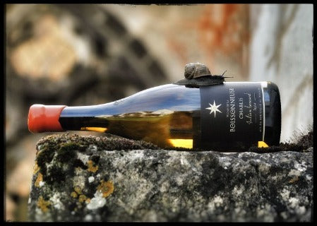 2019 JULIEN BROCARD CHABLIS BOISSON