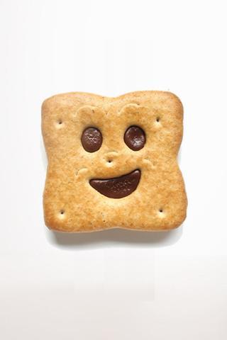 Gourmet Food - BN Chocolat Cookies Biscuits
